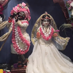 “Ritupati Biharati Nagara Shyama” - Gour Krsna, Bhakti Immersion Retreat 2022