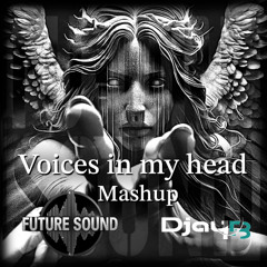 voices in my head