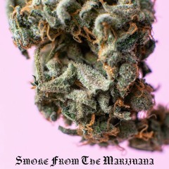 Smoke From The Marijuana
