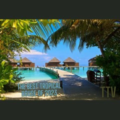 THE BEST TROPICAL HOUSE OF 2023 [The Tropical Vibe]