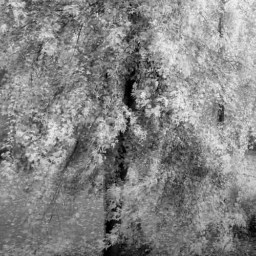 Low Frequency Operator