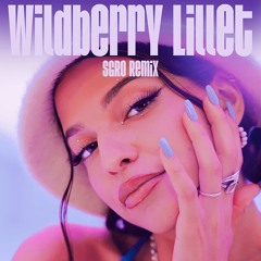 Nina Chuba - Wildberry Lillet (SGRO Remix)