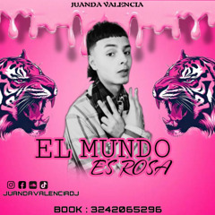 EL MUNDO ES ROSA