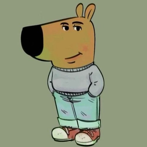 chill guy