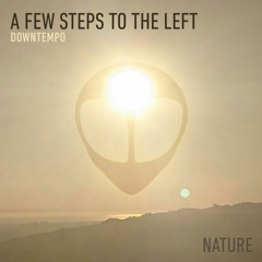 A Few Steps To The Left - Downtempo