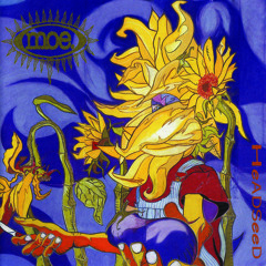 Summer Camp 2018 Official Playlist