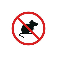 Rat K