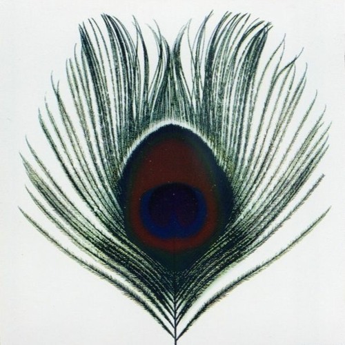 XTC - Knights In Shining Karma