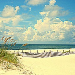 Summer Wind (Frank Sinatra Cover)