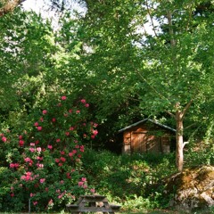 her garden