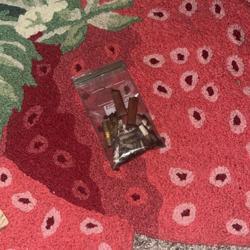 roachbag