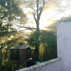 A TRIP (Riders on the storm remix)