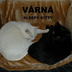 VÅRNÅ - Sleepy Kitty - Militia Underground - 10.10.2020