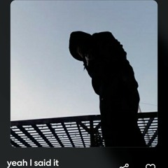 yeah I said it