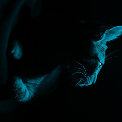 RITMONK - Afro dreams