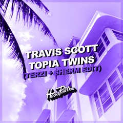 TOPIA TWINS (TERZI & SHERM EDIT) [FREE DL]