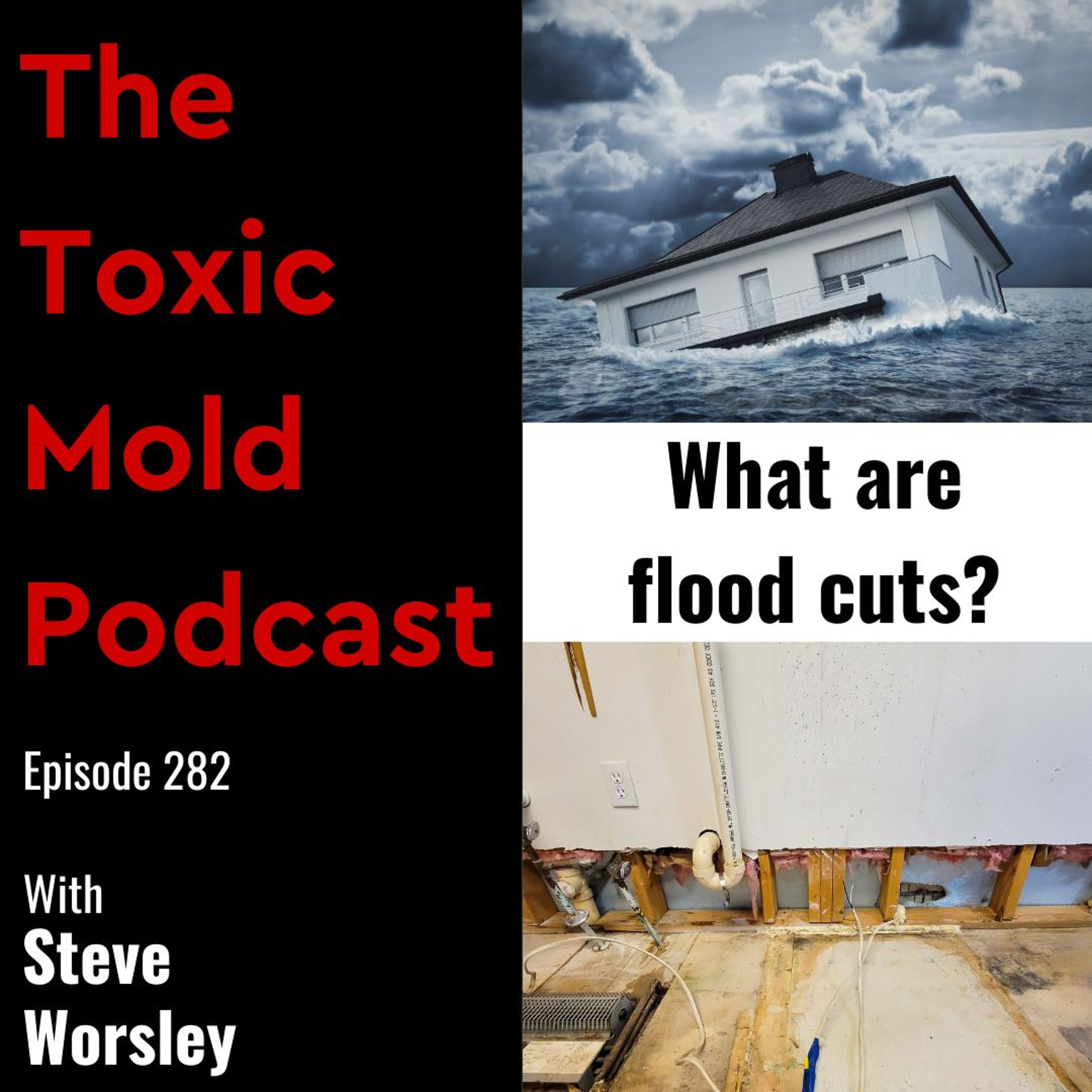 The Toxic Mold Podcast