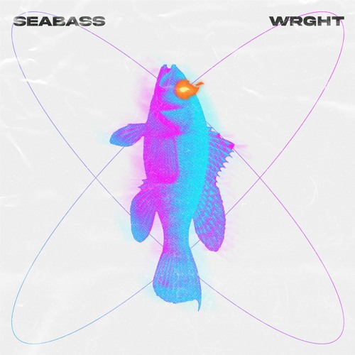 SEABASS🐟