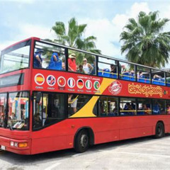 Review Special Price Openair Doubledecker Bus Tour