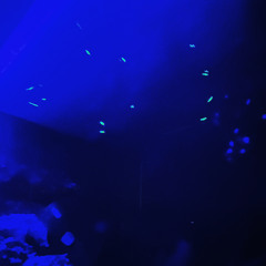 think about it (prod. uhhjaxx)