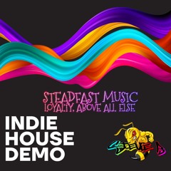 Indie House Mix - Mixed By Stevie B.WAV
