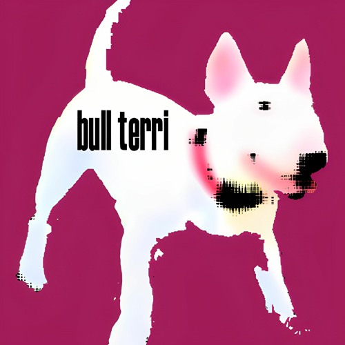 bull terri (p. 1kbxnds)