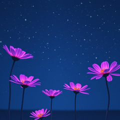 Stellar Bloom - Projeto Naves