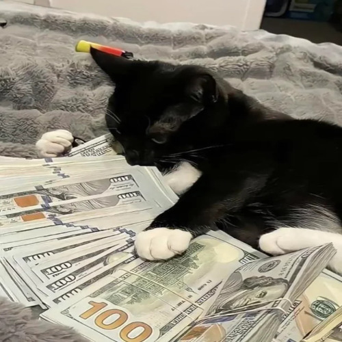 long day w/ Egobreak