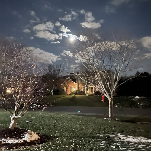 @Myr - Tension (sims)