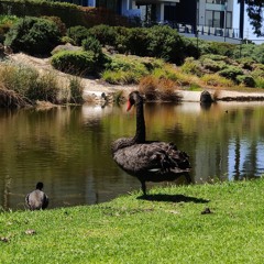 Olen täpselt seal, kus ma olema pean.