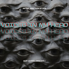 Voices in My Head ( Aldy Alvaro BKB EDIT )