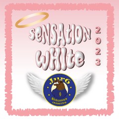 Tagga Sensation White 2023