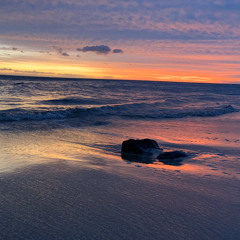 Just One Night-Ekolu