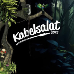 K-Sual @ Kabelsalat 2025 | 1h