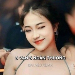 8 VẠN 6 NGÀN THƯƠNG REMIX - HẠO THIÊN X ĐẠI MÈO REMIX - KHÔNG SẮC KHÔNG HƯƠNG TÌNH TA GIỜ ĐÂY... - B
