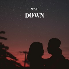 WSB - Down