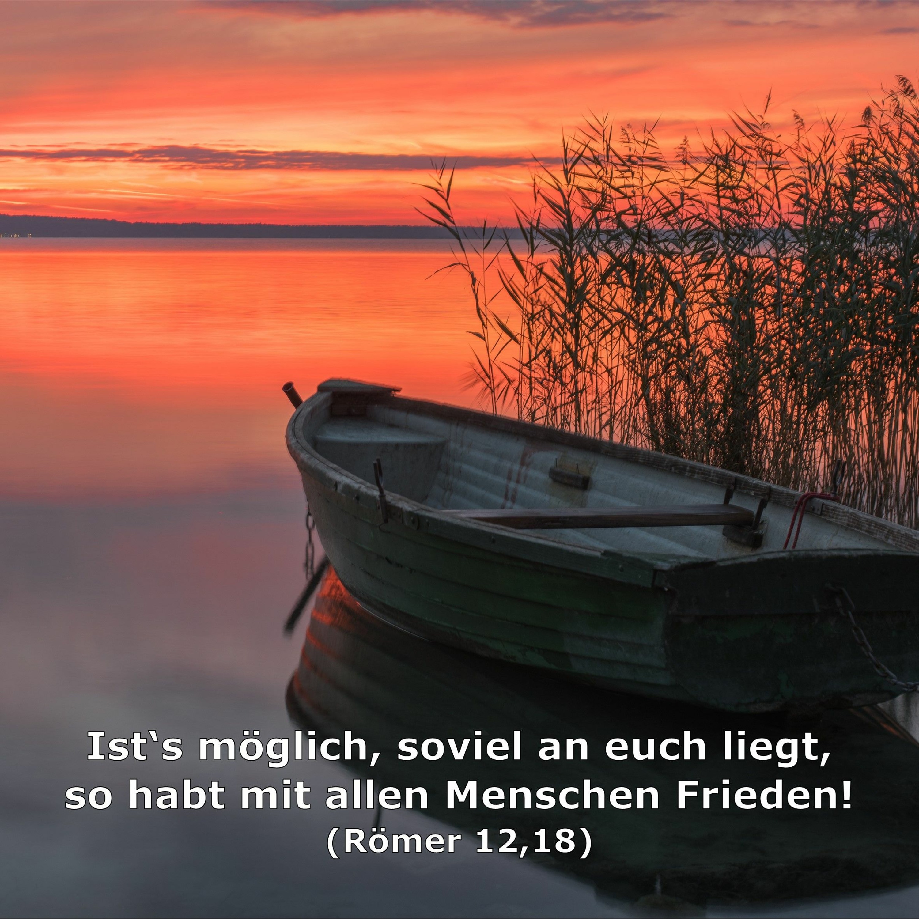 In einem Jahr durch die Bibel