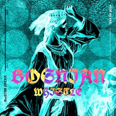 BOSNIAN WHISTLE (Bosanska Artiljerija Remix) [FREE DL]