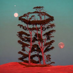 INSANE TEKNOLOGY x OVERTEK (Mixed Set, AFTER Gattazzo 11, 2024-04-14)