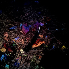 後死地悟志知志智