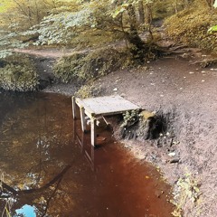 I Felt The Wind Shift South