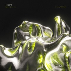 E-bony - Shapes and Frequencies EP [DSG004]