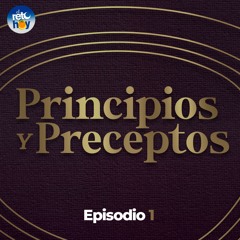 Principios y Preceptos 01