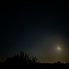 Couple Guinness 🍾🤏🏼