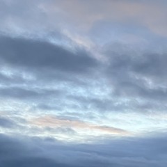 missing out 12/12 #GMF