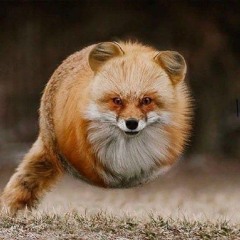 WoonGroove.ogg