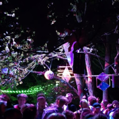 Ufnau Recordings 006 - Justus Hildebrand @ Grinsekatzen Open Air Juli '25