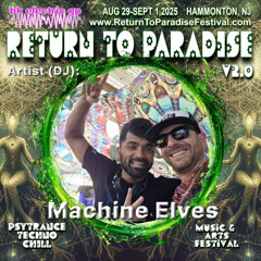 DJ Cozmic as Machine Elves - Return To Paradise 2 (155)