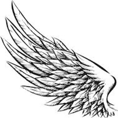 Forgotten Wings  - Jan Stroud