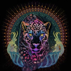 Welcome to the {2022} FreakFest